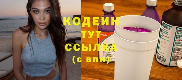 гашик Пестово