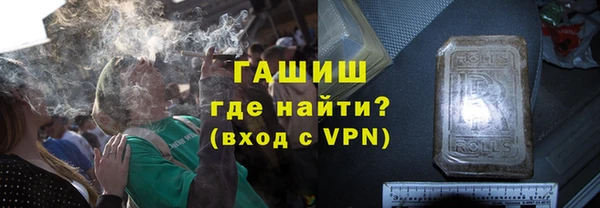 гашик Пестово