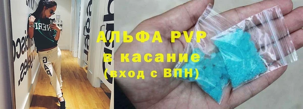 гашик Пестово