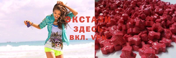 гашик Пестово