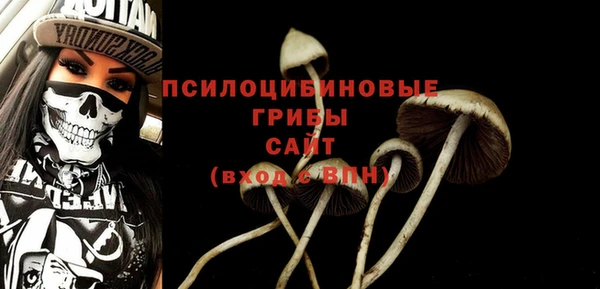 PSILOCYBIN Остров
