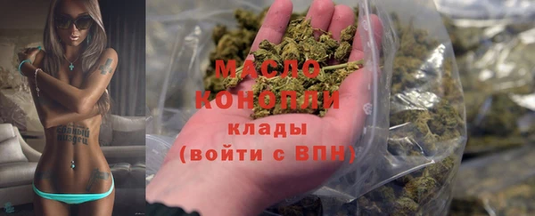 гашик Пестово