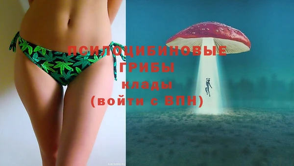 mdma Пересвет