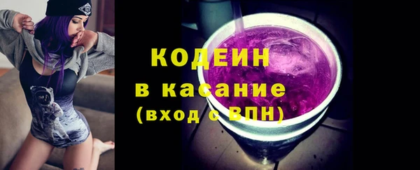 гашик Пестово