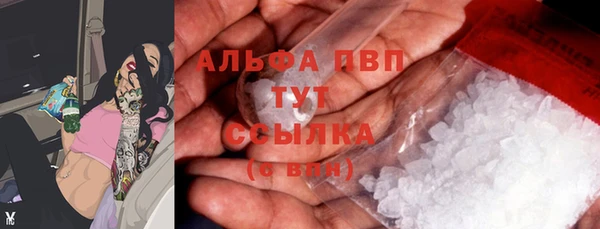 ПСИЛОЦИБИНОВЫЕ ГРИБЫ Переславль-Залесский