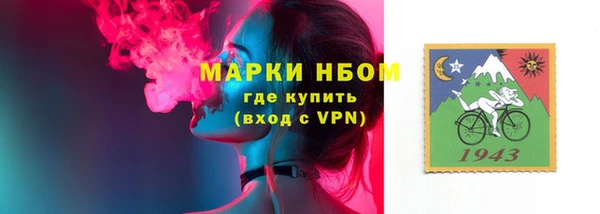 гашик Пестово