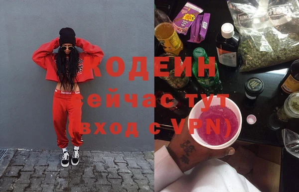 гашик Пестово