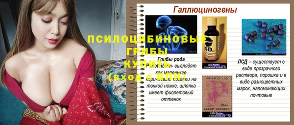 гашик Пестово