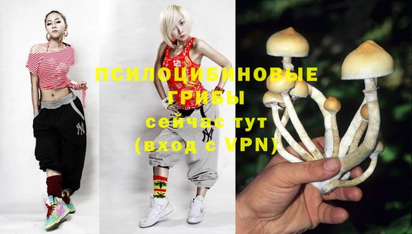 PSILOCYBIN Остров