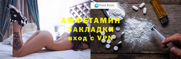 гашик Пестово