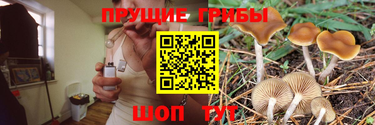 Галлюциногенные грибы GOLDEN TEACHER Скопин