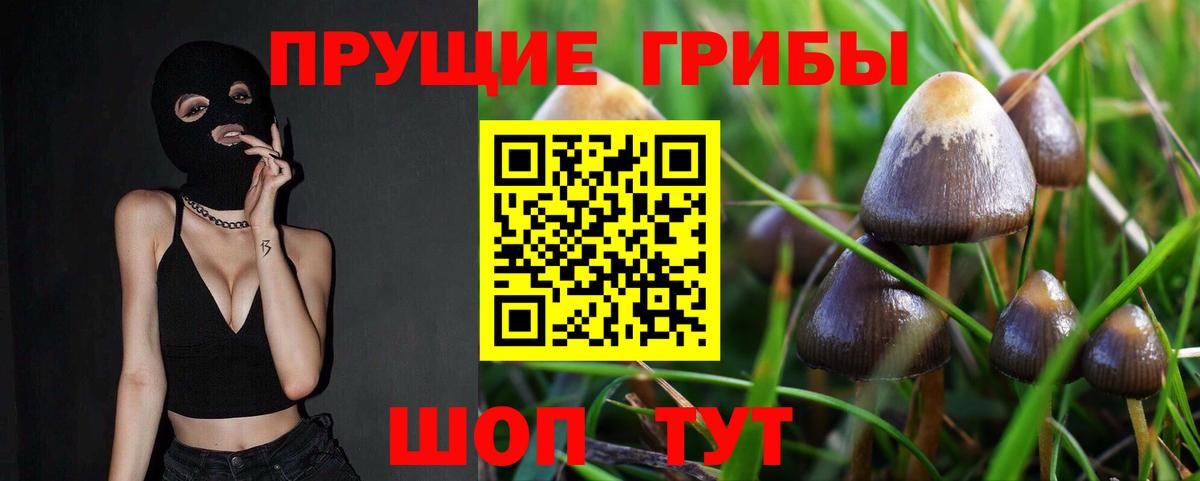 Галлюциногенные грибы Psilocybine cubensis  купить наркотики сайты  Скопин  Вход с VPN  Галлюциногенные грибы мицелий 