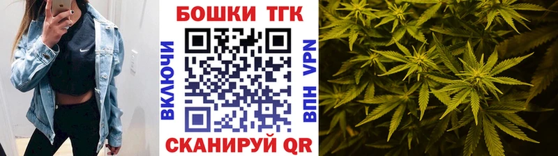 МАРИХУАНА план  магазин продажи наркотиков  Скопин 